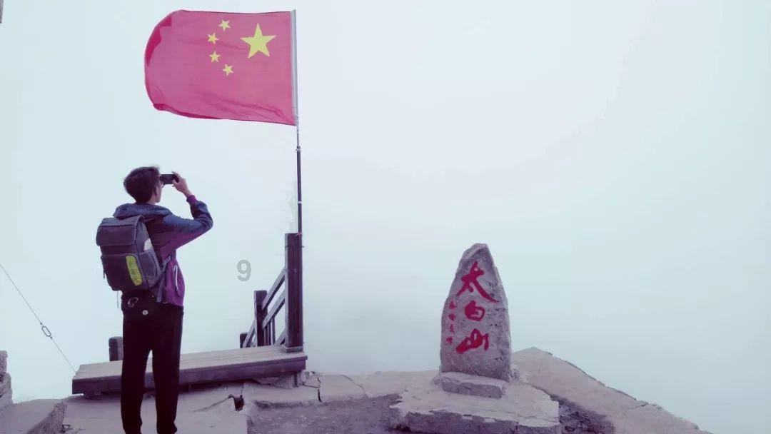 逃离马儿森林
